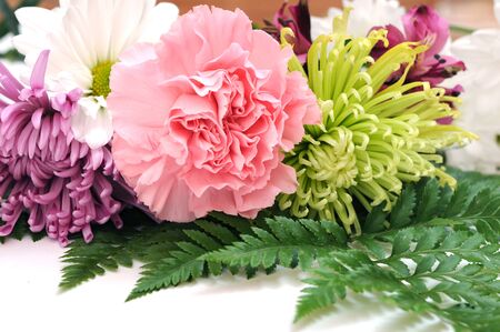 mix of flower for background uses 