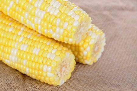 fresh sweet corn display at market place 