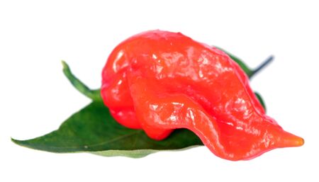 fresh wrinkle red pepper isolated on whiteの写真素材