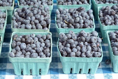 a lot of blueberry in bucket on table at market place  の写真素材