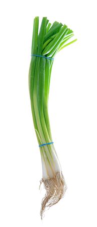green onion bunch isolate on whiteの写真素材