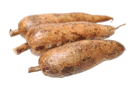 three whole manioc (cassava) isolated on white backgroundの写真素材