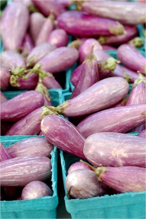 a lot of eggplants at market place の写真素材