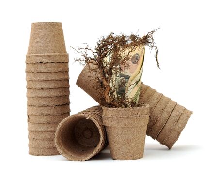 carton vase, root and money represent for planting planの写真素材