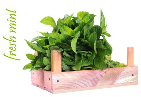 fresh mint in crate isolated on whiteの写真素材