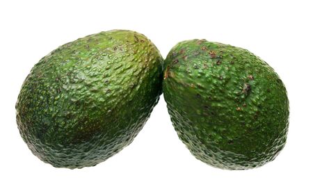 two avocado isolated on white background の写真素材