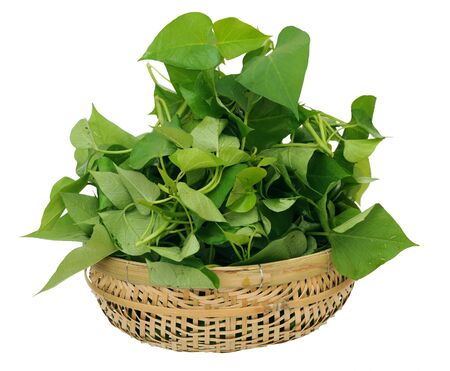 many sweet potatos leaves in bamboo basket