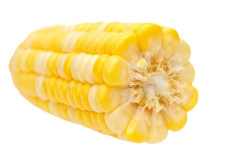 haft of corn isolated on white backgroundの写真素材
