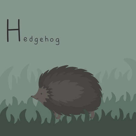 Cute fluffy hedgehog on the grass. Letter H from the alphabet. Cute baby animal illustration.のイラスト素材