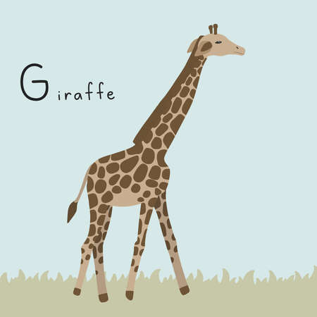 Cute fluffy giraffe with safari. Letter G from the alphabet. Cute baby animal illustration.のイラスト素材