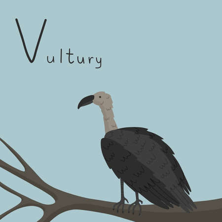 A cute furry vulture sits on a tree. Letter V from the alphabet. Cute baby animal illustration.のイラスト素材