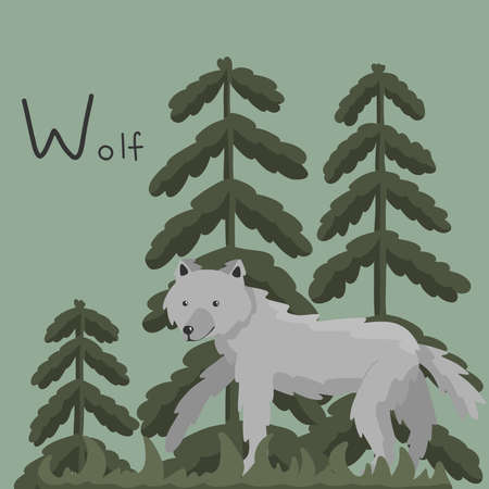 A cute fluffy wolf walks in the forest in the evening. Letter W from the alphabet. Cute baby animal illustration.のイラスト素材