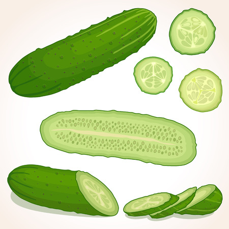 Cucumber with slices. Pieces and half of cucumber.のイラスト素材