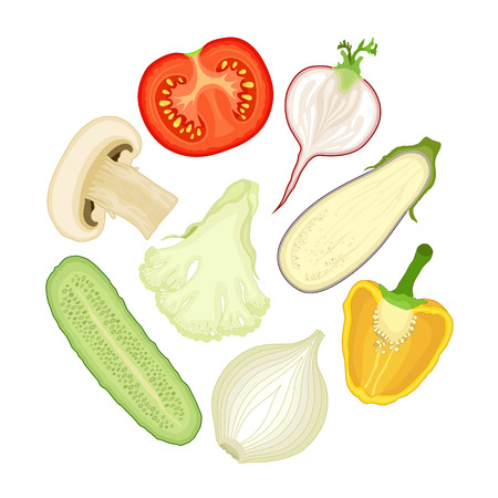 Set of vegetables cut in half.のイラスト素材