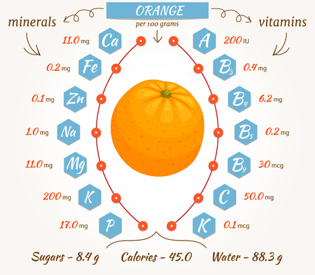 The content of minerals and vitamins in orange.のイラスト素材