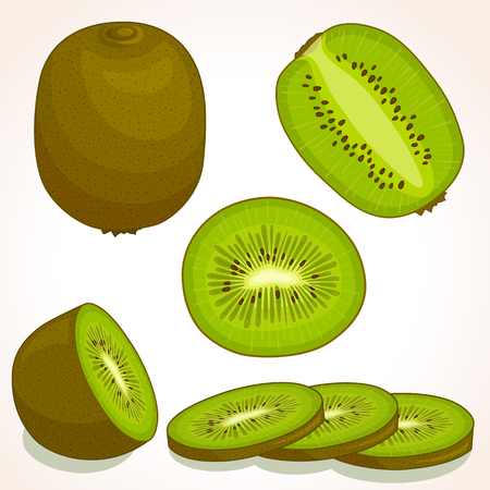 Vector kiwi. Set of whole, sliced, half of a kiwifruit isolated on white background. Vector illustration.のイラスト素材