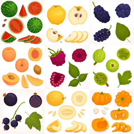 A set of different fruits and berries.のイラスト素材