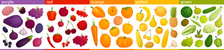 Set of multicolored fruits and vegetables assorted by colors. Vector illustration Food of different colors. Edible rainbow.のイラスト素材