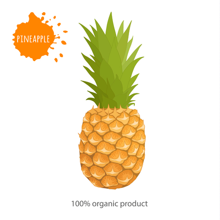 Banner for advertising. Whole pineapple on a white background.のイラスト素材
