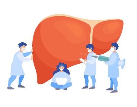 A team of doctors checkup the liver. Tiny people examine the organ and make a diagnosis. Banner on the prevention of liver disease, metabolism and obesity. Vector flat concept. Treatment.のイラスト素材
