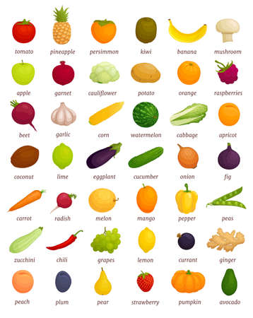 A large set of different vegetables and fruits with titles. Educational poster on what a particular food looks like. Banner with whole vegetables and fruits. Detailed traced foods isolated on white background. Vector illustration.のイラスト素材