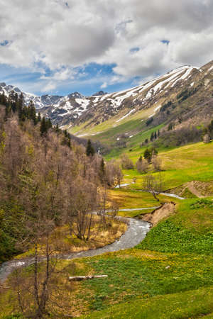 View to the foothills of the Caucasus mountains over flowers and stream near Arkhyz, Karachay-Cherkessia, Russiaの写真素材