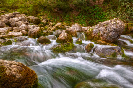 Long exposure photo of mountain river water stream over rocks in the forest  