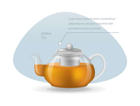 Realistic glass custard transparent teapot with hot fresh black tea infographic on a light background. Teapot with lid and tea leaves compartment vector illustrationのイラスト素材