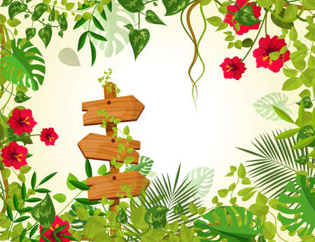 Summer tropical background with jungle plants. Liana branches frames, rainforest tropical leaves flowers. Retro wooden sign boardswooden arrow with chains ropes cartoon vectorのイラスト素材