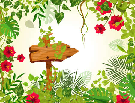 Summer tropical background with jungle plants. Liana branches frames, rainforest tropical leaves flowers. Retro wooden sign boardswooden arrow with chains ropes cartoon vectorのイラスト素材