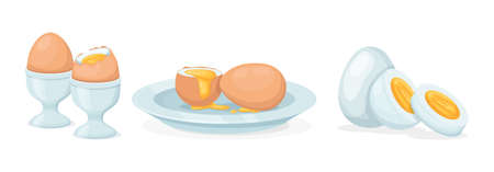 Fresh and boiled eggs. Chicken broken eggs with cracked eggshell and yolks, in cardboard box, egg half with yolk, boiled and fried. Cooking ingredient. Healthy organic food farm product vectorのイラスト素材