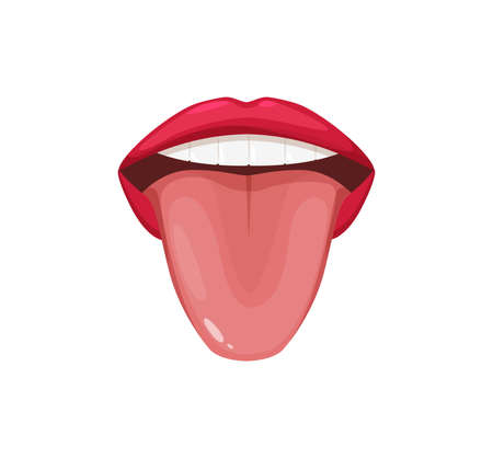 Human anatomy organs of tongue of taste. Open mouth sticking out tongue cartoon vector illustration.のイラスト素材