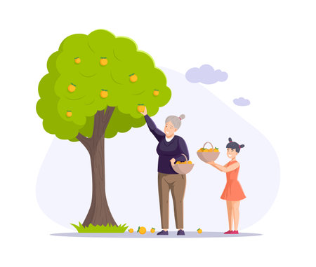 Grandmother and granddaughter picking orange seasonal harvest from garden tree. Happy family relatives enjoying summer outdoor activity spending time together. Work at farm flat vectorのイラスト素材