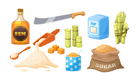 Fresh cane sugar with stem and leaf plants set. Sugarcane plants, cane sugar lumps and cube, glass bottles of rum, bamboo, rum alcoholic liquid. Natural organic alcohol and sweet food cartoon vectorのイラスト素材