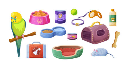 Animal food, accessories and toys domestic store. Pet shop supplies and accessories: parrot, shampoo, bone, food, first-aid kit, house-scratching post, ribbed ball, leash-collar cartoon vectorのイラスト素材