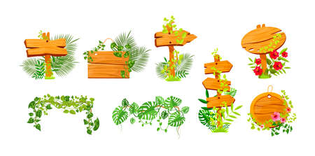 Set of pointer wooden board covered by liana branches. Boards with place for text decorated by natural tropical leaves. Wood panel template with exotic flower for menu, ad, information cartoon vectorのイラスト素材
