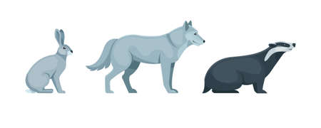 Woodland forest animals set. Cute wild forest animals hare, wolf, badger flat cartoon vectorのイラスト素材