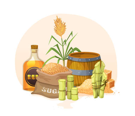 Fresh cane sugar with stem and leaf plants set. Sugarcane plants, cane sugar lumps and cube, glass bottles of rum, bamboo, rum alcoholic liquid. Natural organic alcohol industry food cartoon vectorのイラスト素材