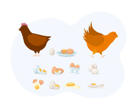 Natural poultry protein food elements set. Rooster, chicken, cooked and uncooked eggs, boiled, softboiled, peeled, eggshell. Eco friendly natural farm broken cracked half with yolk product flat vectorのイラスト素材