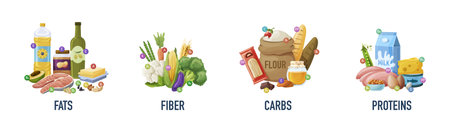 Set of main food groups, macro and micronutrients. Fats, fiber or cellulose, carbs and proteins nutritious food for a healthy diet. Nutrient complex diet of organic natural products flat vectorのイラスト素材