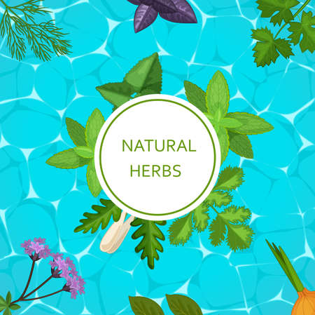 Natural herbs banner with herbaceous plants and flowers. Homeopathy, naturopathy poster with wild flowers and medicinal herbs leaves. Organic health care products, alternative medicine flat vectorのイラスト素材