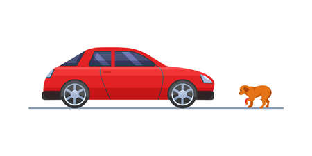 Pet animal injured in car accident flat vector. Dog with wounded paw standing in front of red automobile. car collision with animalsのイラスト素材
