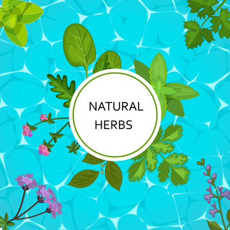 Natural herbs banner with herbaceous plants and flowers. Homeopathy, naturopathy poster with wild flowers and medicinal herbs leaves. Organic health care products, alternative medicine flat vectorのイラスト素材