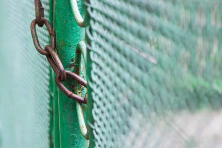 Close up chain locked on green color fence gateの写真素材