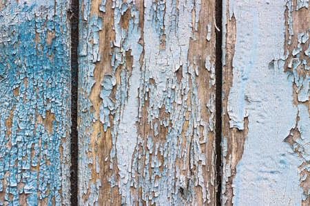 Old chapped blue wooden background. Tree bark textureold paint for woodの写真素材