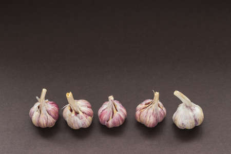 Five bulbs / heads of garlic in a row on grey gradient background. Copy spaceの写真素材