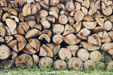 Dry chopped wood logs background with grass on the ground. Wood industry.