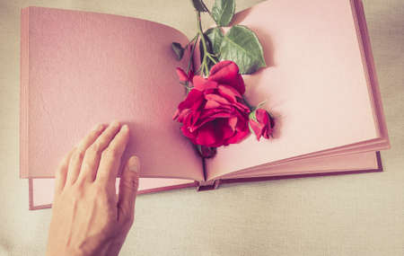 Vintage postcard background with woman's hand on empty sheet book and red rose. Space for textの写真素材