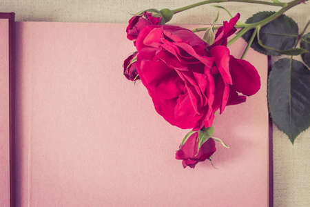 Vintage postcard background with empty sheet book and red rose. Space for textの写真素材