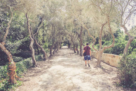 Landscape with a man walking along the alley in the ancient forest on Malta. Warm retro filter usedの写真素材